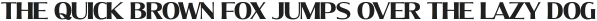 Molly Serif N Bold otf (700)