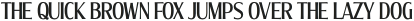 Molly Serif XC Medium otf (500)