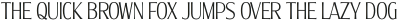 Molly Serif XC Thin otf (100)