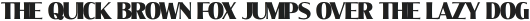 Molly Serif C Black otf (900)