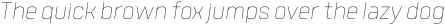 Tomkin Thin Italic otf (100)