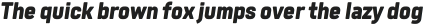 Tomkin Black Italic otf (900)