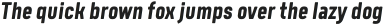 Tomkin Condense Bold Italic otf (700)