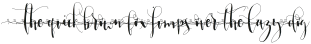 LosSpiroXtraLeft otf (400)