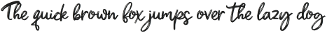 Shanky otf (400)