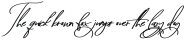 Abiding Love Script Alt Bold otf (700)