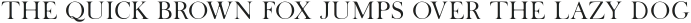 Abiding Love Serif otf (400)