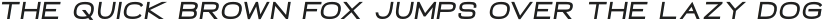 Neon Black Italic otf (900)