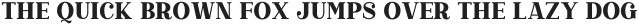 Righton Serif otf (400)