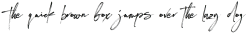 Expert Svg 2 Regular otf (400)