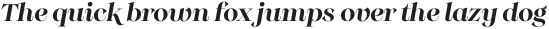 Monckeberg Alt Medium It otf (500)