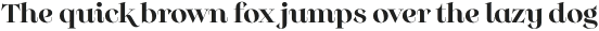 Monckeberg Alt Medium otf (500)