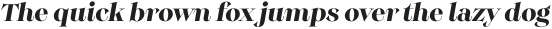 Monckeberg Bold It otf (700)