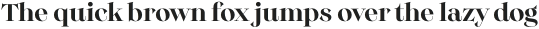 Monckeberg Medium otf (500)
