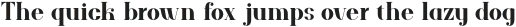 ARK Reunio Serif otf (400)