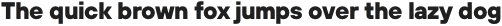 TT Hoves Light Italic otf (300)