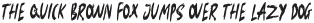 Dinamic Brush otf (400)