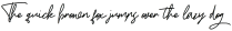 Boss Signature otf (400)