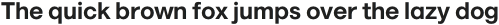 Marlin Geo Light Italic otf (300)