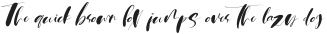 Martin Script Font Alt ttf (400)
