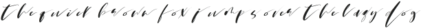 Martin Script Font Sw ttf (400)