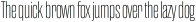 Rama Gothic Rounded M Thin otf (100)