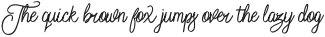Spirited Script Bold Regular otf (700)