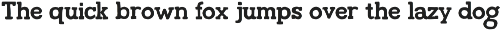 Slab and Sans Font Pair preview