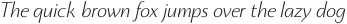 Monterchi Light Italic otf (300)