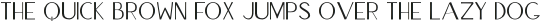 Souls Wyld Sans otf (400)