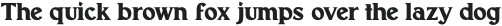 Noelle Serif otf (400)