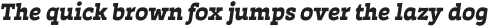 Auster Slab Black Italic otf (900)