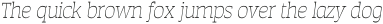 Auster Slab Thin Italic otf (100)