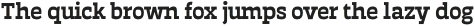Auster Slab SemiBold otf (600)