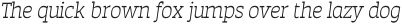 Auster Slab Light Italic otf (300)