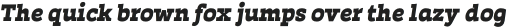 Auster Slab Heavy Italic otf (800)