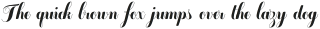 Chameleon Basic otf (400)
