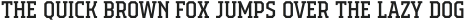 Campione Neue Serif otf (400)