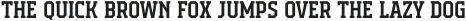Campione Neue Serif Medium otf (500)