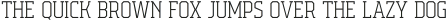 Campione Neue Serif Variable ttf (400)