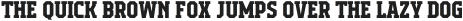 Campione Neue Serif otf (700)
