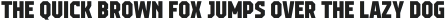 Campione Neue Sans ExtraBold otf (700)
