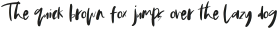 Wild Things Font Regular otf (100)