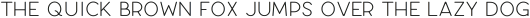 Larosa Thin ttf (100)