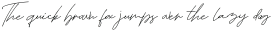 Tropical Summer Signature Italic otf (400)