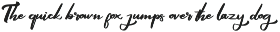 Queny | Unique Font Script preview