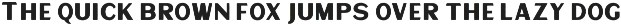 VT Sunmore - Elegant Font preview