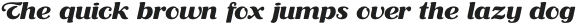 RP Aloe Text ExtraBold otf (700)