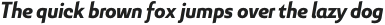 Senlot Sans Norm Black Italic otf (900)