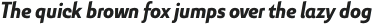 Senlot Sans Cond Black Italic otf (900)